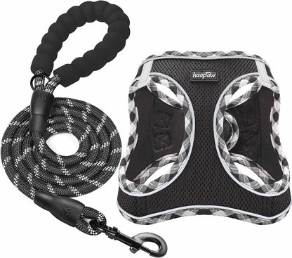 haapaw Dog Harness with Leash Set, No Pull Adjustable Reflective Step-in Puppy Harness with
