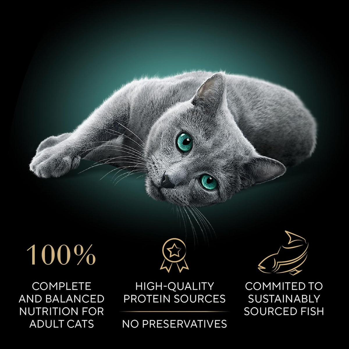 Sheba Perfect Portions Wet Cat Food Cuts in Gravy Variety Pack, Roasted Chicken Entree, with