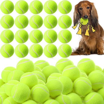Skylety 100 Pcs 2.5 inch Squeaky Tennis Balls Bulk for Dogs Bouncy Floatable Tennis Balls Dog