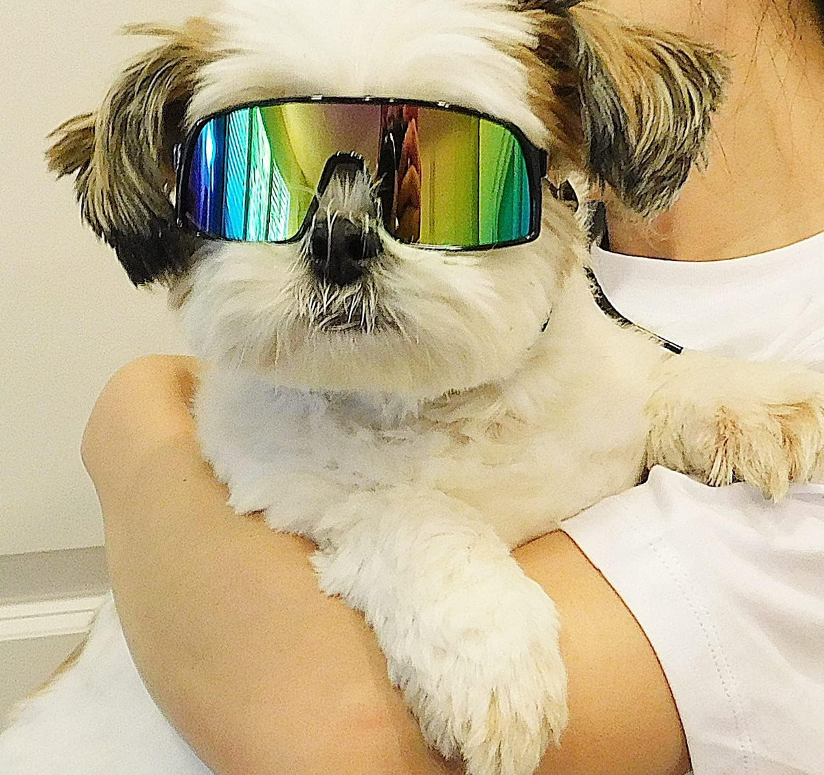 G029 Small Dog Breed 8-18lbs Pet Puppy Cat Sports Turbo Sunglasses (Sport Turbo Black-Rainbow