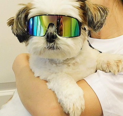 G029 Small Dog Breed 8-18lbs Pet Puppy Cat Sports Turbo Sunglasses (Sport Turbo Black-Rainbow