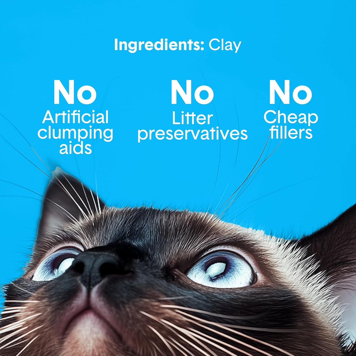 Boxie® Unscented 30 Day Odour Control Clumping Clay Cat & Kitty Litter 40 lb, 99.9% Dust-Free, Hard