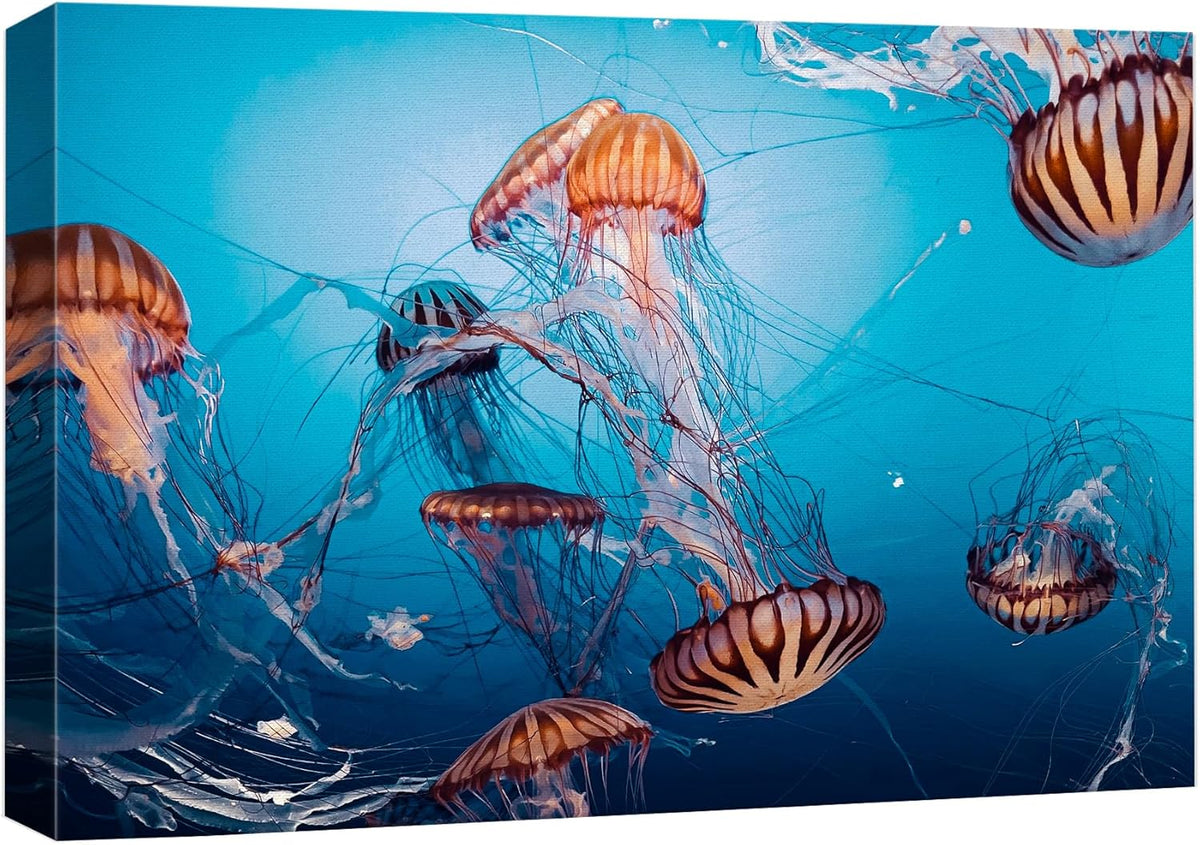 wall26 Canvas Print Wall Art Tiger Stripe Jellyfish Underwater Ocean Sea Nature Animals Photography