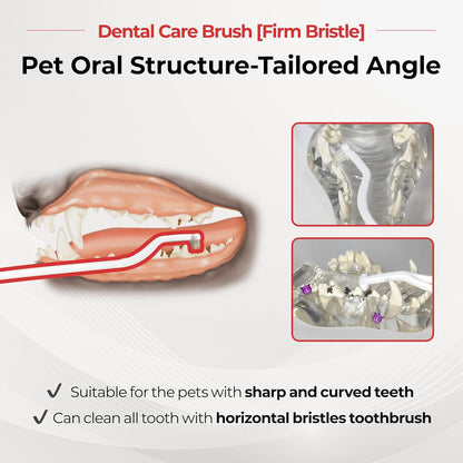 JAYU PET Dental Care Brush (Firm Bristles) 3ea - Resilient Dog Toothbrush, Cat Toothbrush for