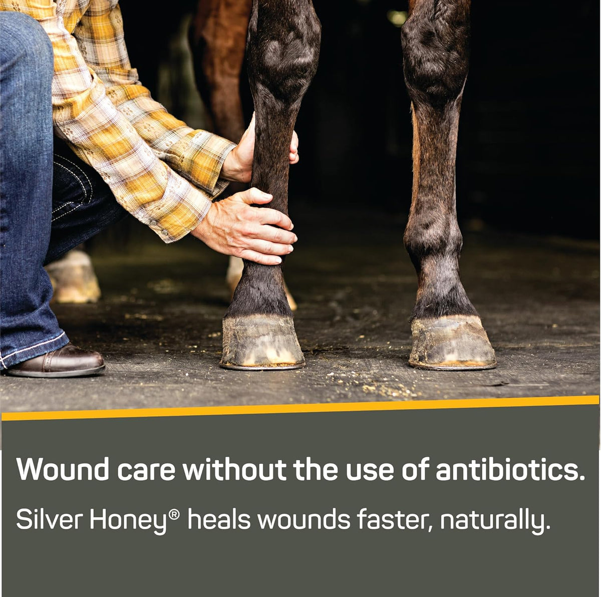Absorbine Silver Honey Rapid Wound Repair Ointment Twin Pack 2oz Tubes, Manuka Honey & MicroSilver