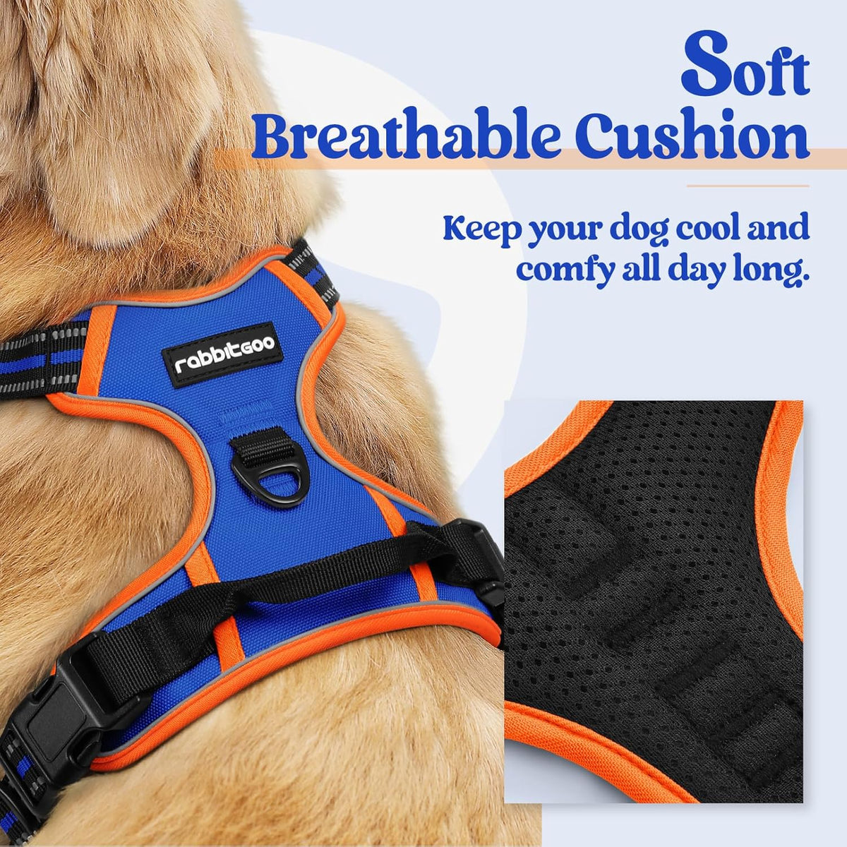 rabbitgoo Dog Harness No Pull with 2 Leash Clips, Adjustable Soft Padded, Reflective Oxford No