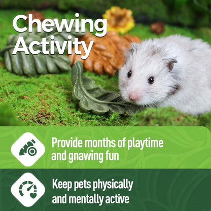 TEEWY 6PCS Hamster Chew Toys, Guinea Pig Chew Toys for Teeth with Natural Vegetables and Timothy