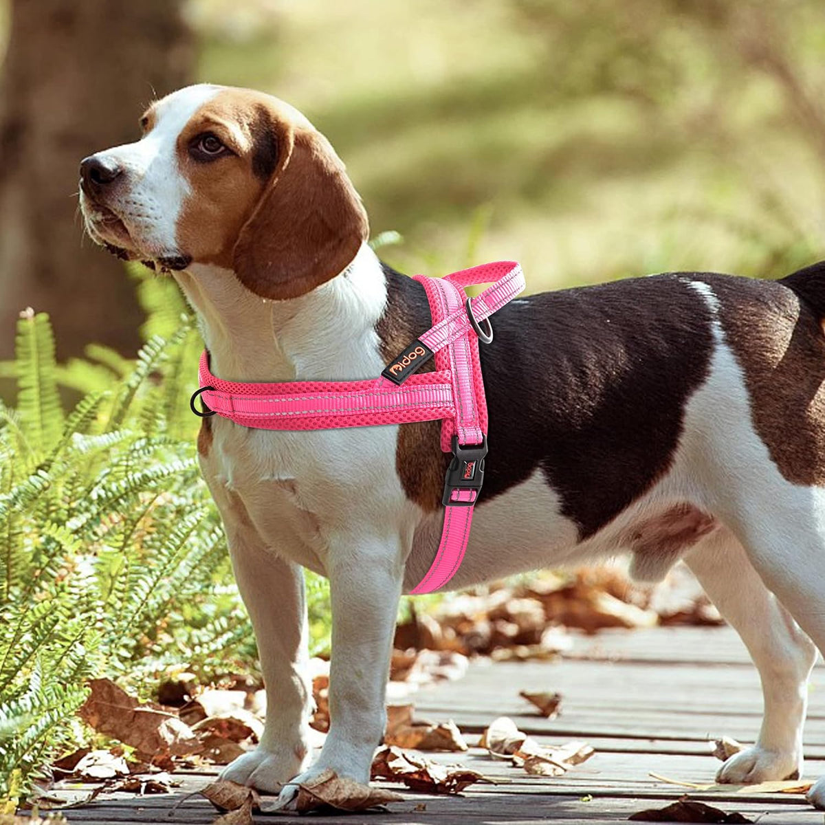 Didog No Pull Dog Harness with Soft Mesh Padded,Reflective & Quick Fit Light Weight Dog Strap Vest