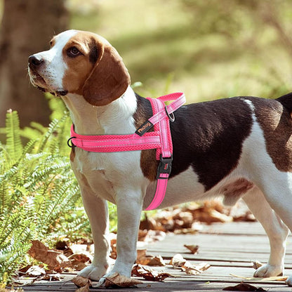 Didog No Pull Dog Harness with Soft Mesh Padded,Reflective & Quick Fit Light Weight Dog Strap Vest