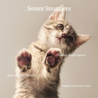 Now Fresh Grain-Free Senior Dry Cat Food with Turkey, Salmon & Duck, Premium Kibble Made with Real