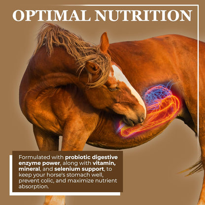 Equerry's Economy Equine Supplement - Horse Probiotics | Supplement for Horses | Horse Vitamins and