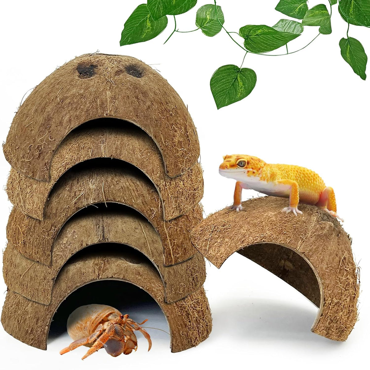 Hamiledyi 7 Pcs Reptile Hideouts Natural Coconut Shells Hut Leopard Gecko Tank Accessories for