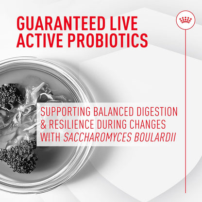 Royal Canin Probiotics for Dogs Digestive and Immune Health Powder Supplement for Dogs of All Ages