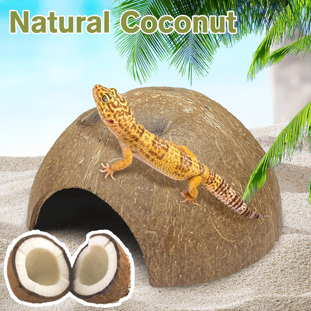 Hamiledyi 7 Pcs Reptile Hideouts Natural Coconut Shells Hut Leopard Gecko Tank Accessories for