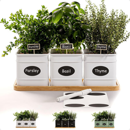 Herb Planter Indoor - 3 Iron Herb Pots with Drainage Holes, Varnished Bamboo Tray, Customizable