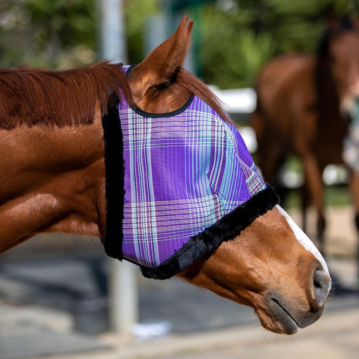 Kensington Fly Mask with Fleece Trim for Horses — Protects Face and Eyes from Flies and Sun Rays