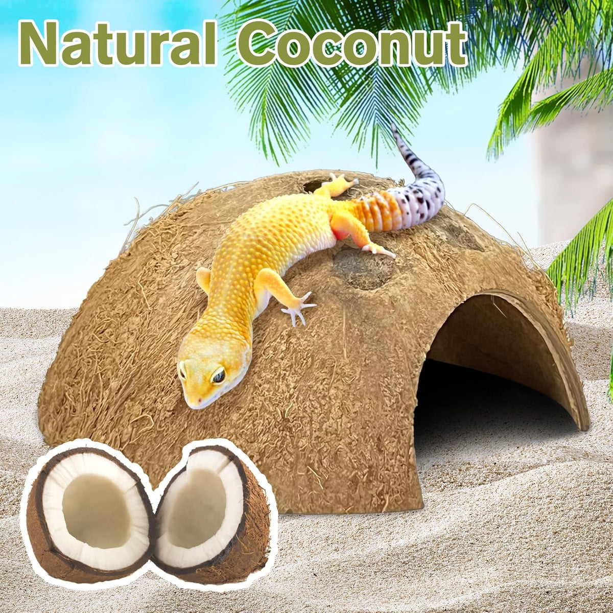 Hamiledyi 7 Pcs Reptile Hideouts Natural Coconut Shells Hut Leopard Gecko Tank Accessories for