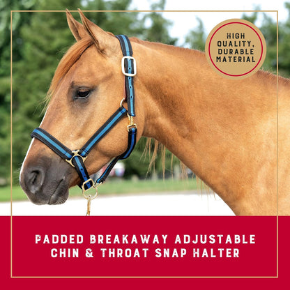 Weaver Equine Breakaway Horse Halter, Comfort Foam Padding, Adjustable Chin & Throat Snap Halters