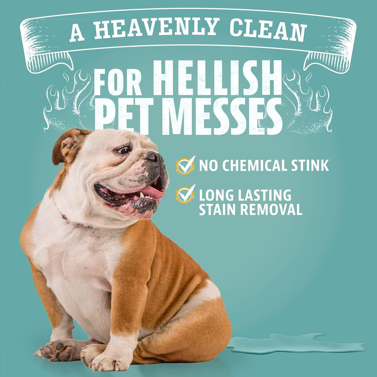 Angry Orange Stain Remover - 32oz Enzyme Pet Cleaner - Dog & Cat Urine Destroyer and Stain Remover