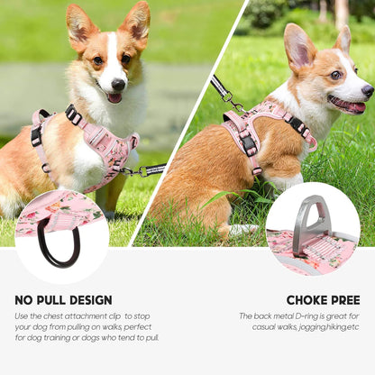 Timos Dog Harness, No-Pull Pet Harness with 2 Leash Clips, Adjustable Soft Padded Dog Vest