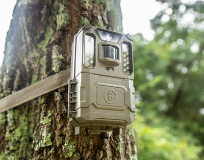 Bushnell Prime Low Glow Trail Camera - 24MP Image Quality, 1080p HD Video, Advanced Sensor