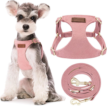 Puppytie No Pull Small Dog Harness with Multifunction Dog Leash, Lightweight Soft Adjustable No