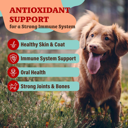 Natural Dog Company Dog Food Topper, Antioxidant Berry Vitamins & Superfood Meal Topper Supplement