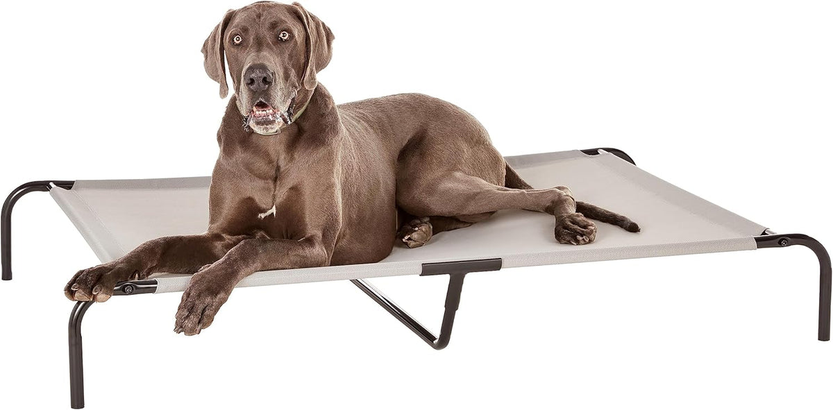 Amazon Basics Cooling Elevated Breathable Pet Bed For Dog, X-Large (60.1 x 37.1 x 8.9 Inches), 1