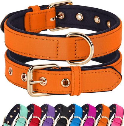 Didog Soft Padded Dog Collars for Small Dogs, Lightweight and Breathable Dog Collar with Metal