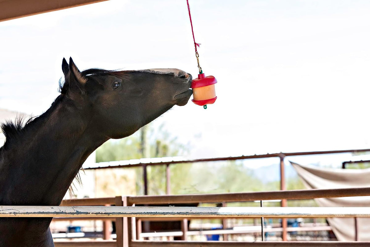Horsemen's Pride Stall Snack Treat Holder & Refill for Horses; Apple Flavor