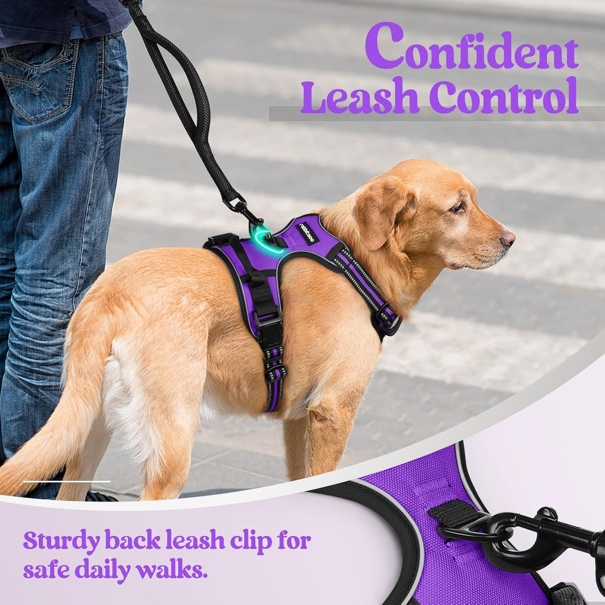 rabbitgoo Dog Harness No Pull with 2 Leash Clips, Adjustable Soft Padded, Reflective Oxford No