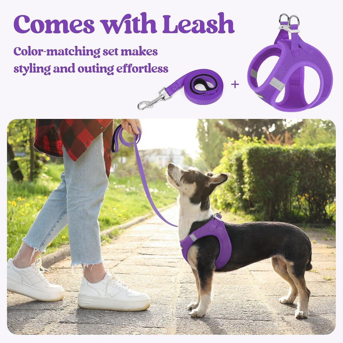rabbitgoo Dog Harness Small Sized and Leash Set, Step in Soft Light Puppy Vest, Breathable Mesh Pet