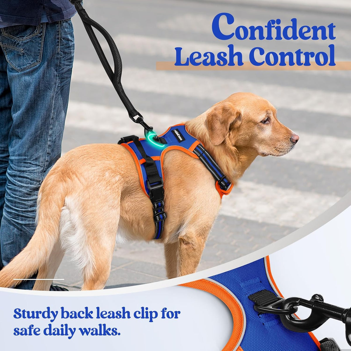 rabbitgoo Dog Harness No Pull with 2 Leash Clips, Adjustable Soft Padded, Reflective Oxford No