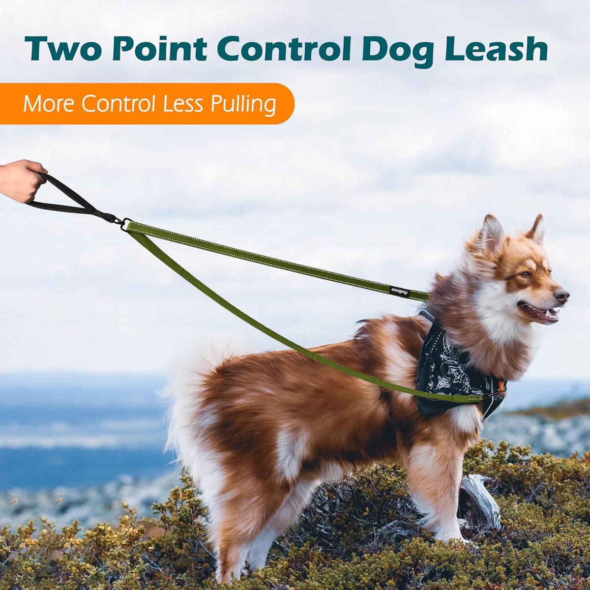 PetBonus Two Point Control Dog Leash, Works with No Pull Harnesses, No Tangle Dog Training Leashes