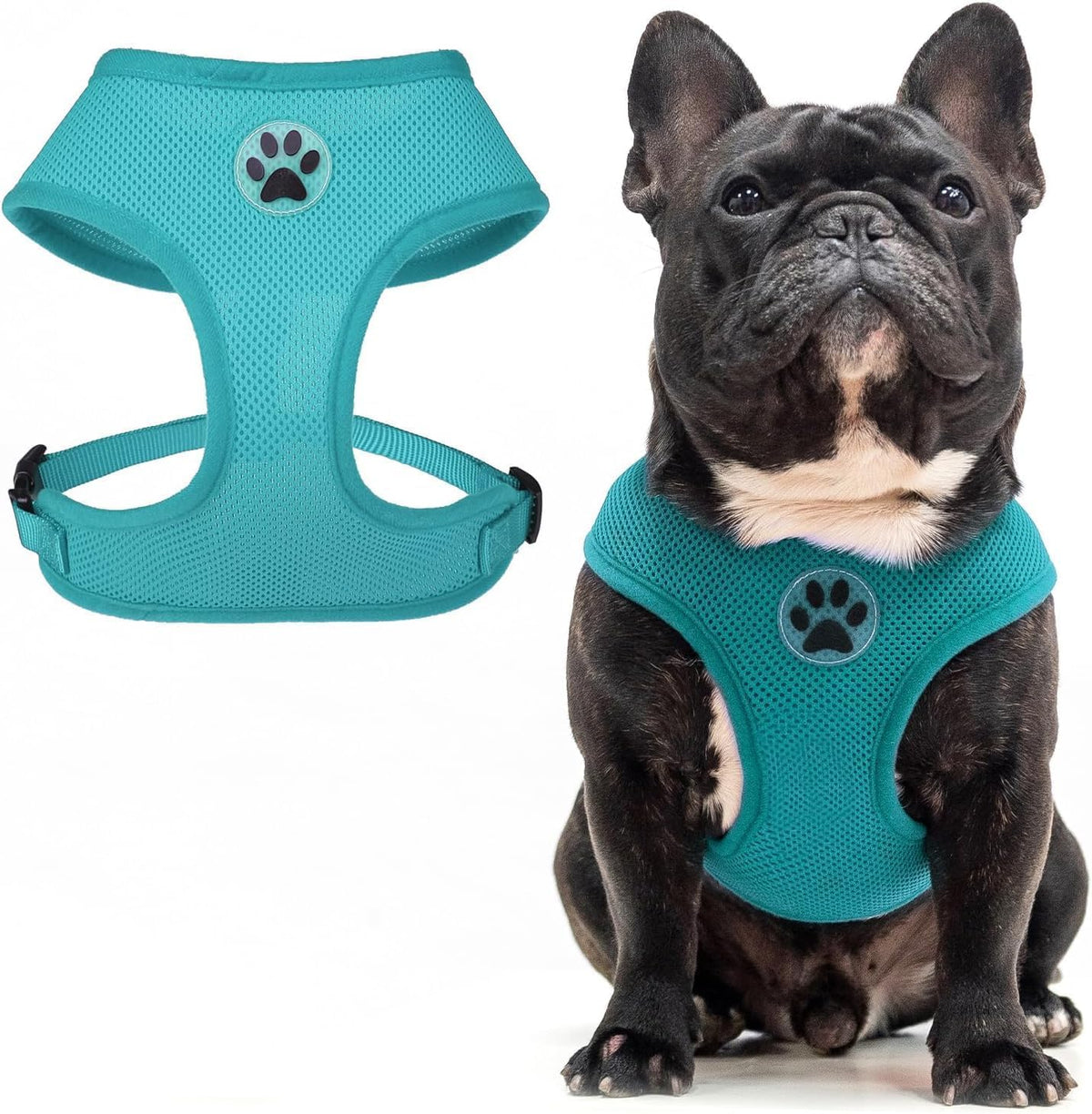 BINGPET Small Dog Harness - Breathable Mesh Puppy Cat Harnesses - No Pull Adjustable Dog Harness