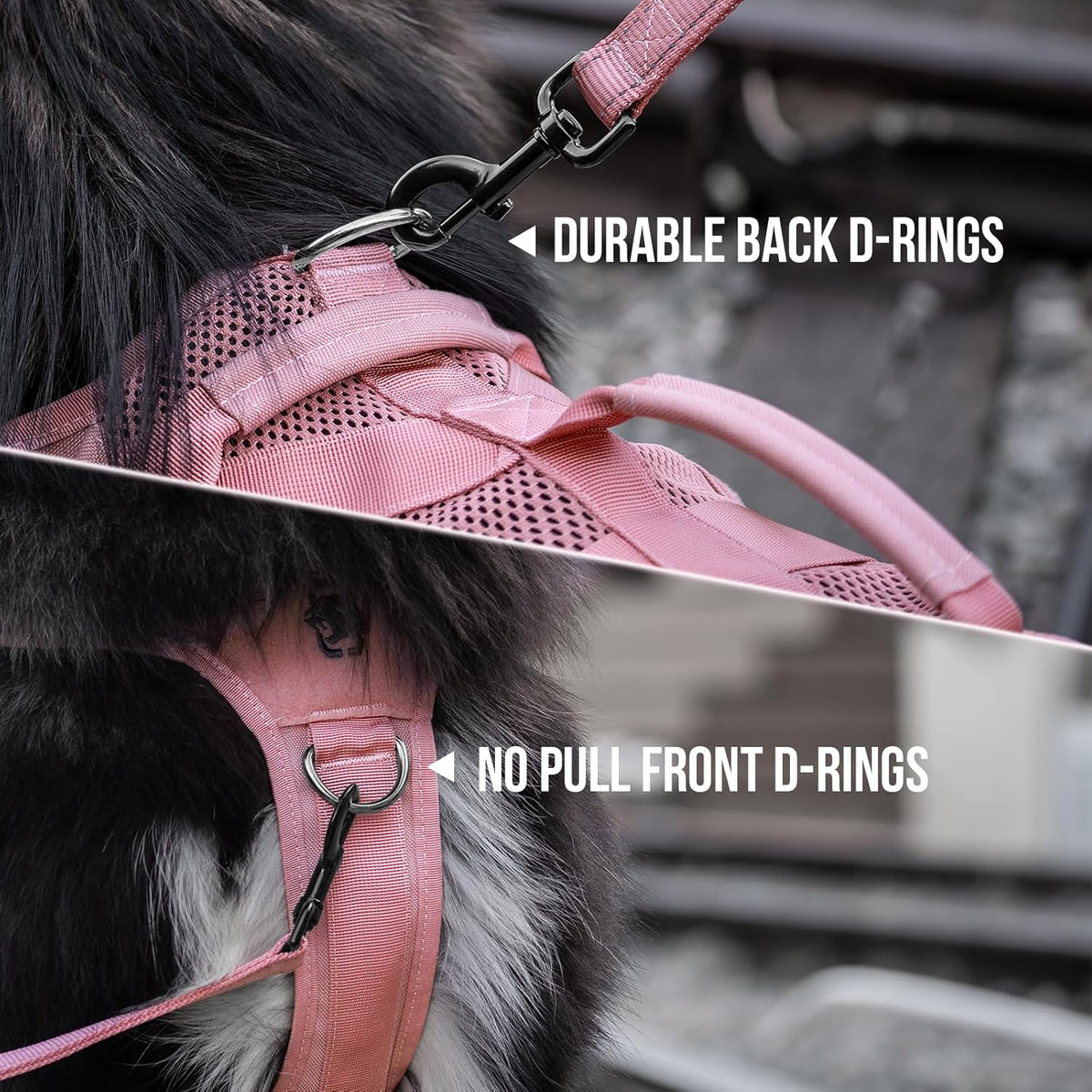 OneTigris Tactical Dog Harness for Small Dogs, No Pull Small Dog Vest Harness with Handles
