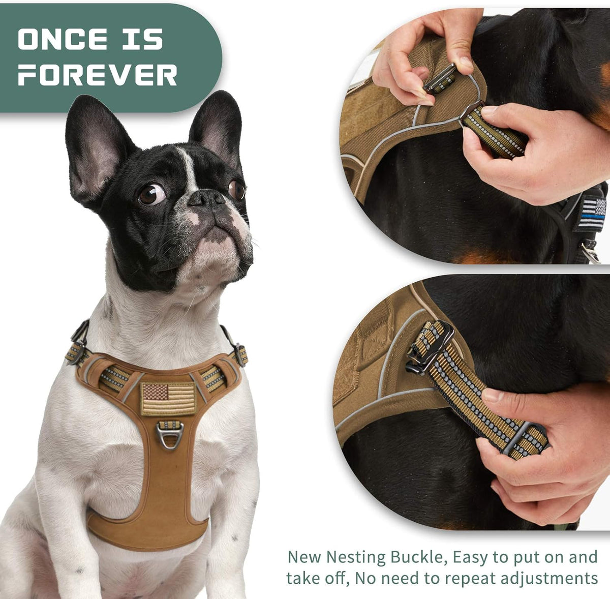 BUMBIN Tactical Dog Harness for Small Dogs No Pull, Famous TIK Tok No Pull Puppy Harness, Fit Smart