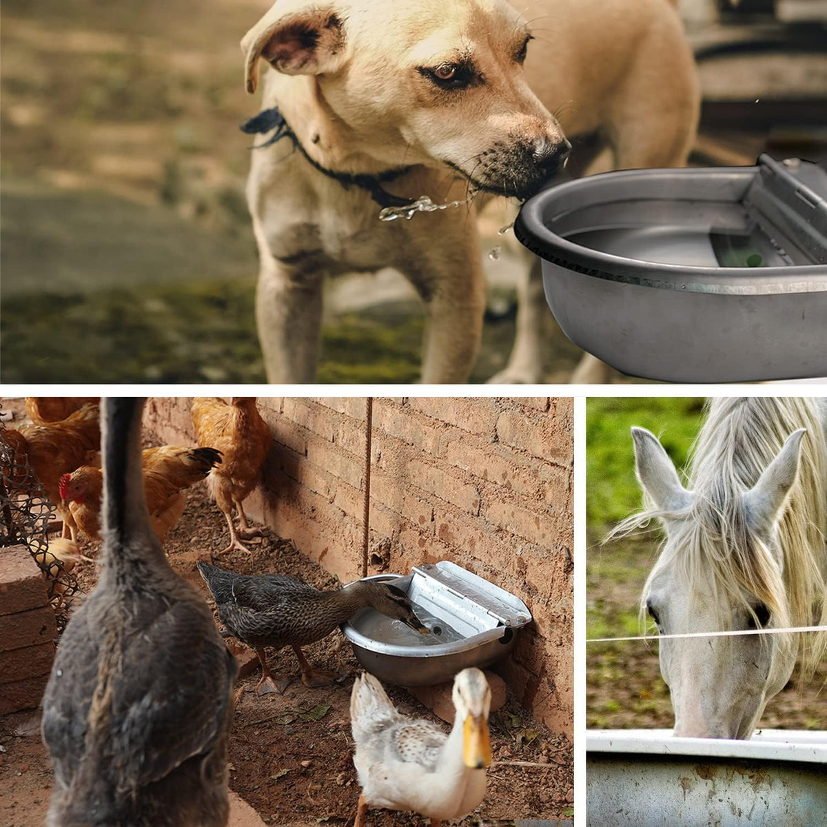 Automatic Water Dispenser for Dog Water Bowl Dispenser Large Size Stainless-Steel Waterer Feeder
