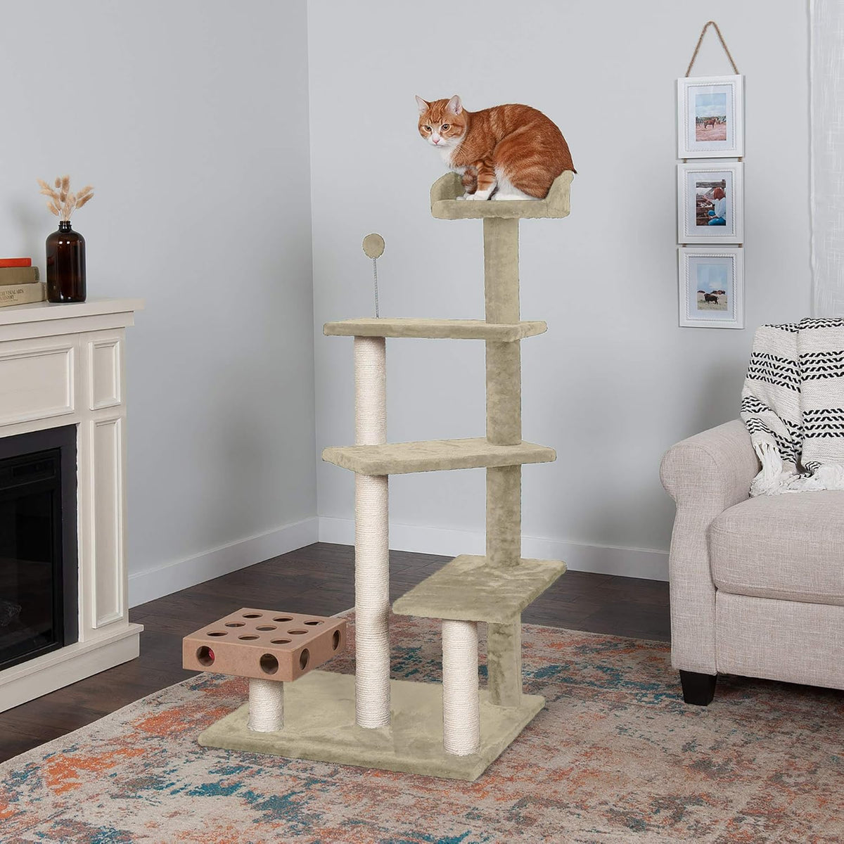 Furhaven 49.5" Tall Cat Tree for Indoor Cats, Ft. Sisal Scratching Posts, Plush Ball Toy, & Busy