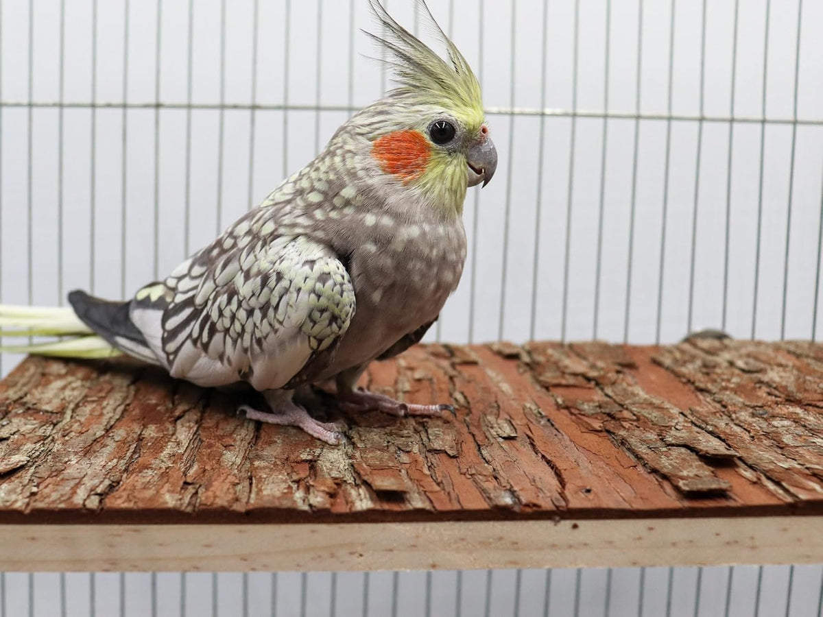 15.7 × 11.8 inch Large Bird Perch Stand Platform, Natural Wooden Small Animals Cage Accessories
