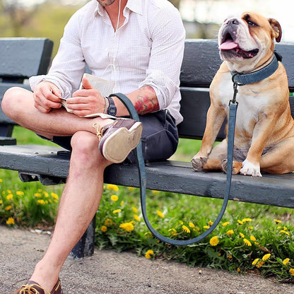 Didog Soft Padded Leather Dog Collar and Leash Set, Adjustable Dog Leash and Collar Set with Metal