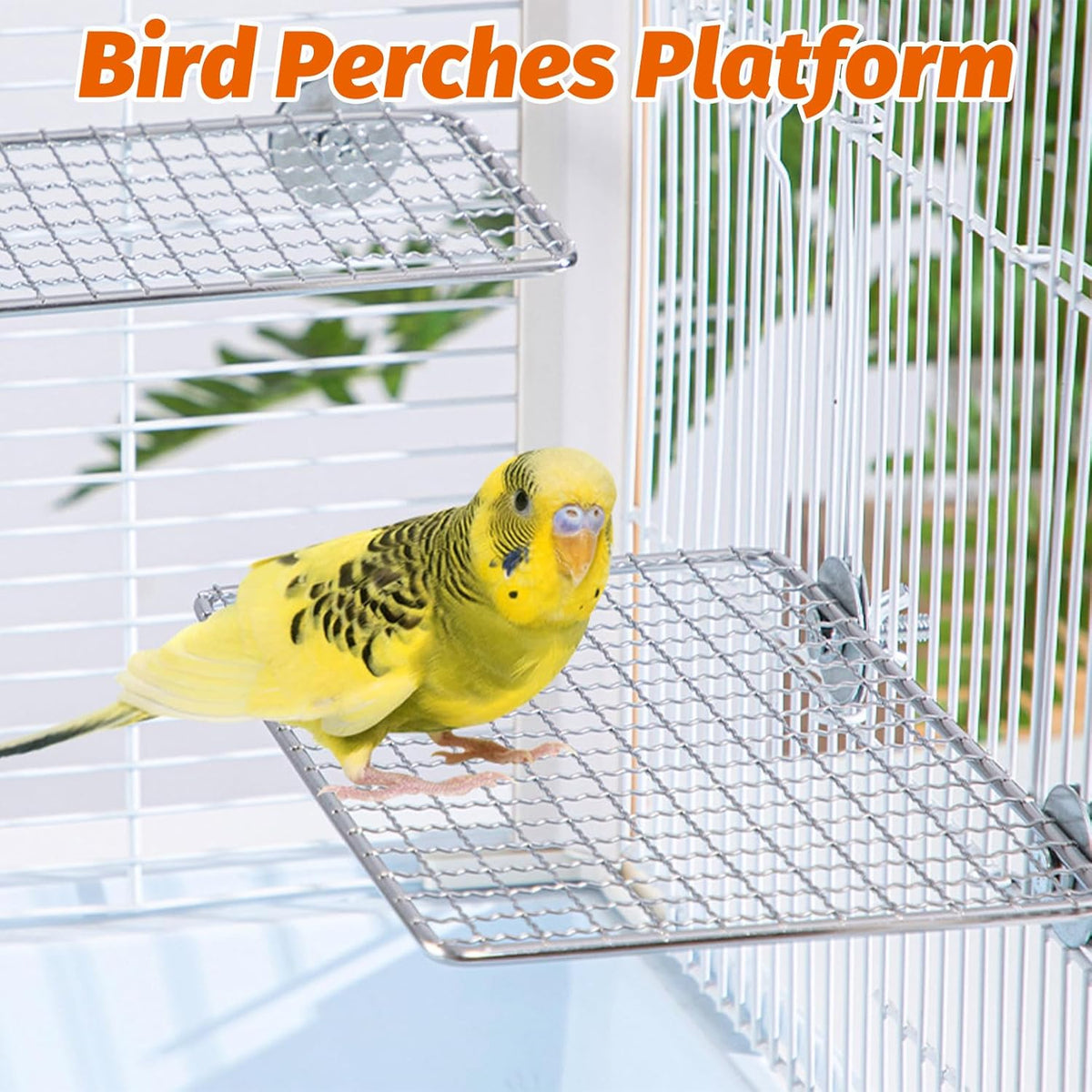 BNOSDM 2 Pack Bird Perch Platform 11x7in Stainless Steel Birds Perches Parrot Shelf Training Stand