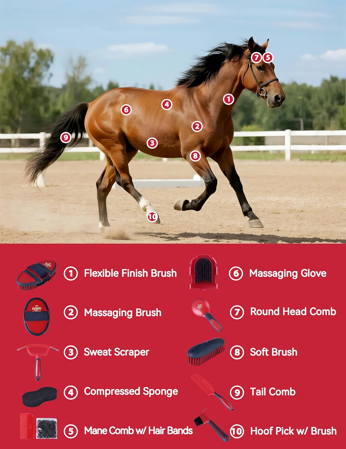 11PCS Horse Grooming Kit Curry Comb Sweat Scraper Horse Bathing Supplies Grooming Tools with