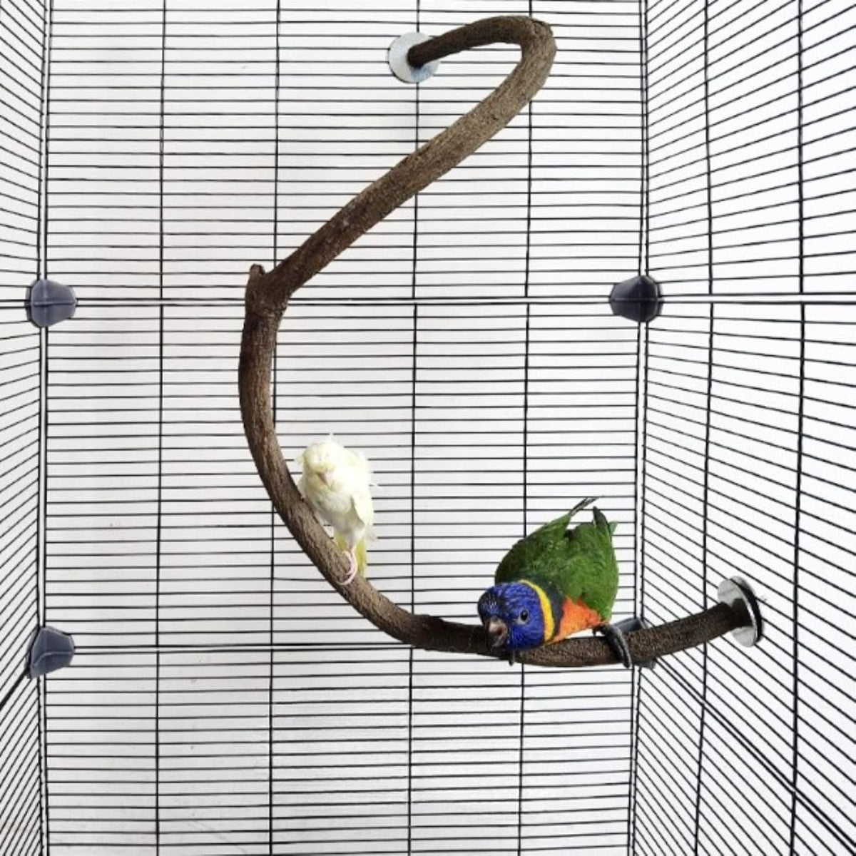 Parrot Perch Stand Bird Cage Stand Pole Natural Wild Grape Stick Grinding Paw Cage Accessories for