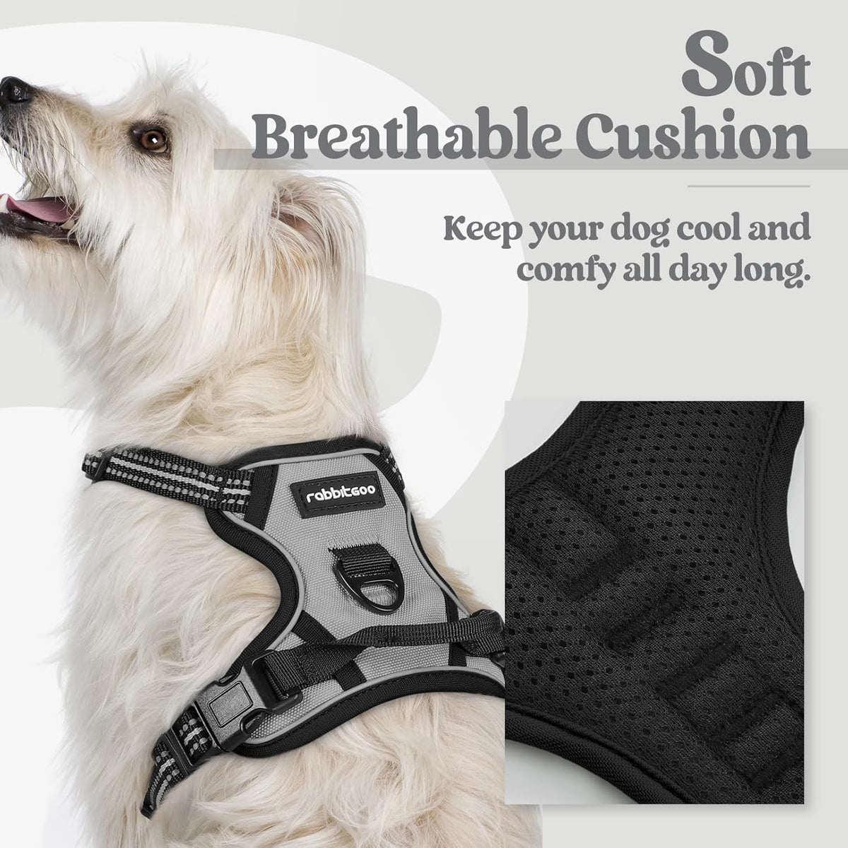 rabbitgoo Dog Harness No Pull with 2 Leash Clips, Adjustable Soft Padded, Reflective Oxford No