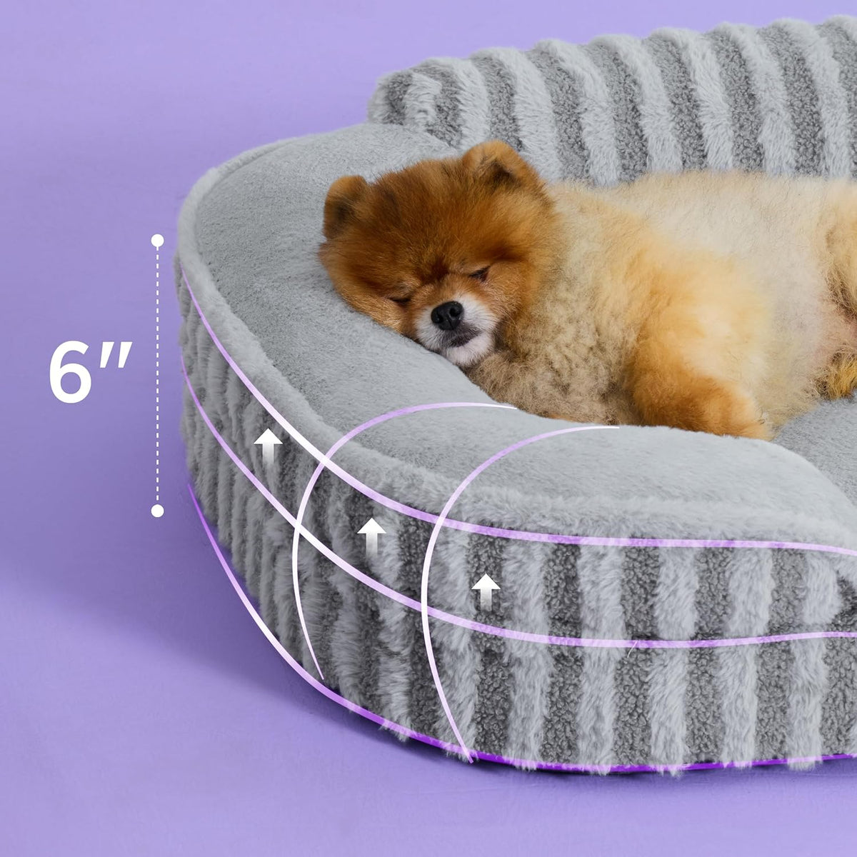 LE SURE Cute Dog Bed for Small Dogs, Orthopedic Waterproof Small Pet Beds with Sides, Non-Slip