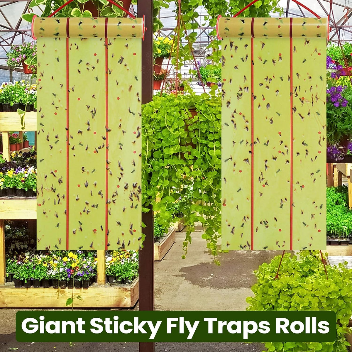 Qualirey Giant Sticky Fly Traps,30 Feet Fly Strips for Indoor Outdoor Hanging Flying Tapes Non