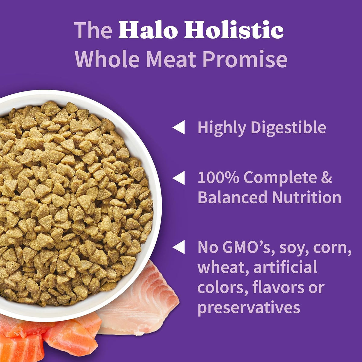 Halo Holistic Cat Food Wild Caught Salmon & Whitefish Formula, Healthy Grains Dry Cat Food