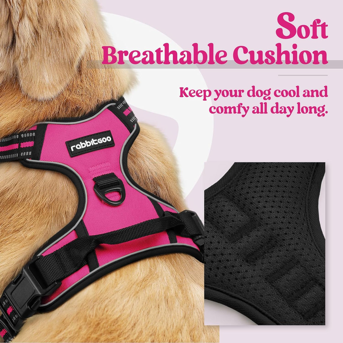 rabbitgoo Dog Harness No Pull with 2 Leash Clips, Adjustable Soft Padded, Reflective Oxford No