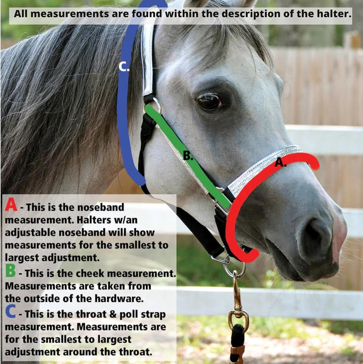 Jeffers Equine Mini Horse Halter – 3/4" Nylon Adjustable Halter for Miniature Horses, Ponies, Under